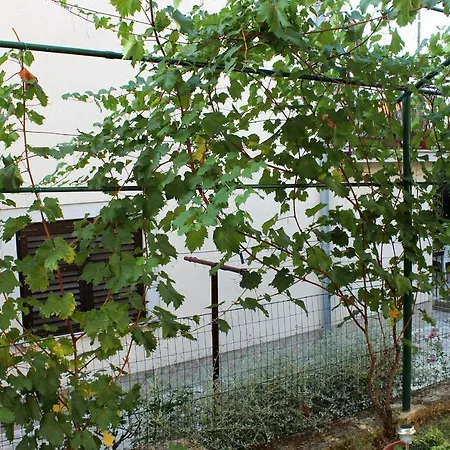 With Parking Space Novigrad - 2536 Daire