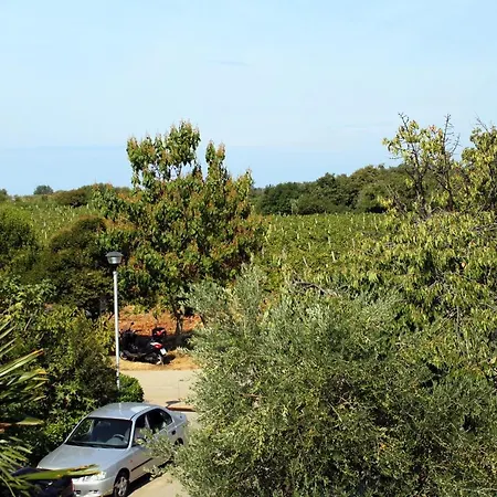 With A Parking Space Novigrad - 2536 Novigrad Istria