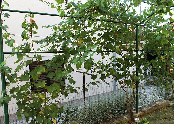 With Parking Space Novigrad - 2536 Daire