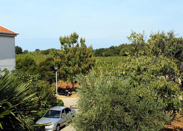 With Parking Space Novigrad - 2536 Novigrad Istria